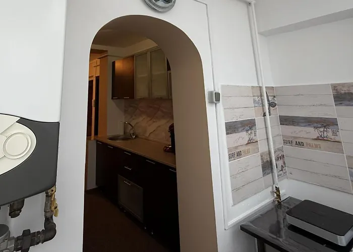 Delymary Parc 1 Mai 公寓 克拉奥华