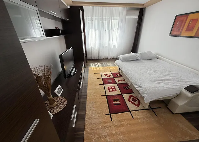 公寓 Delymary Parc 1 Mai 克拉奥华